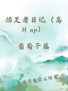 插足者日记（高H np）