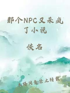 那个NPC又杀疯了小说