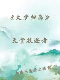 《大梦归离》