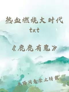 热血燃烧大时代txt