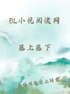 BL小说阅读网