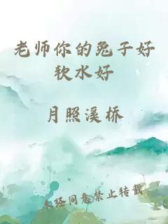 老师你的兔子好软水好