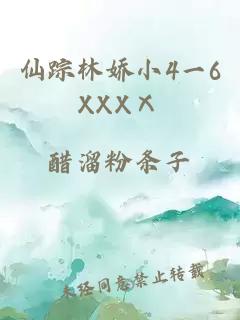 仙踪林娇小4一6XXXⅩ