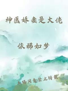 神医娇妻是大佬