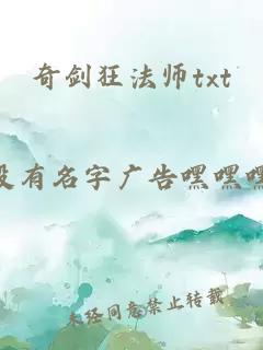 奇剑狂法师txt