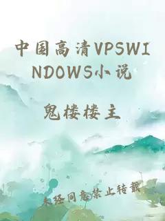 中国高清VPSWINDOWS小说