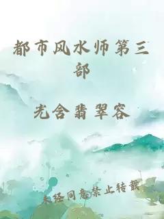 都市风水师第三部