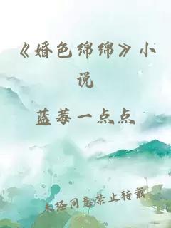 《婚色绵绵》小说