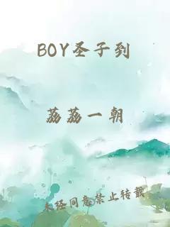 BOY圣子到