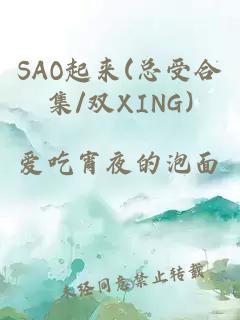 SAO起来(总受合集/双XING)