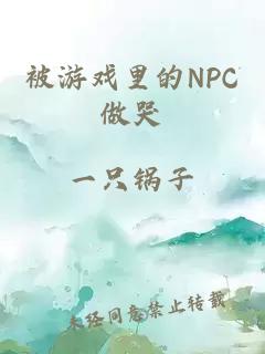 被游戏里的NPC做哭