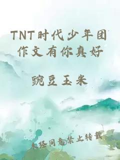 TNT时代少年团作文有你真好