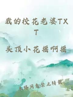 我的校花老婆TXT