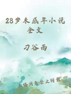 28岁未成年小说全文