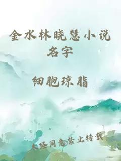 金水林晓慧小说名字